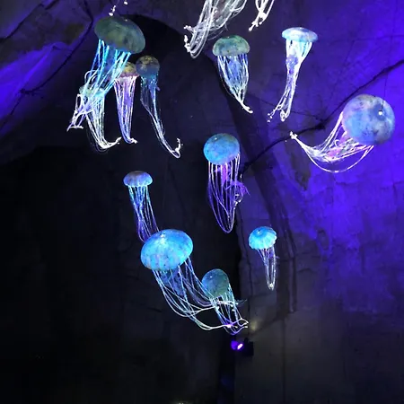 Chez Annie 3* Doué-la-Fontaine