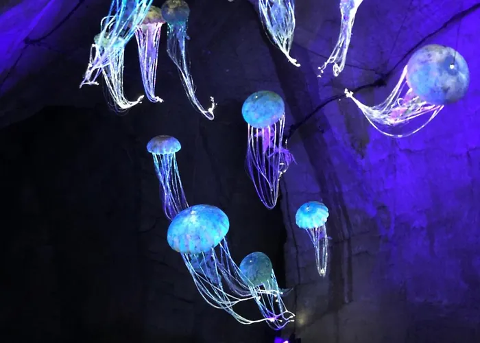 Chez Annie 3* Doue-la-Fontaine